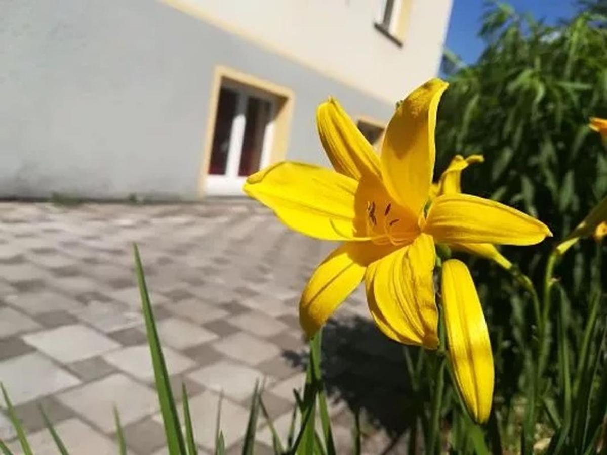 Haus Am Apfelbaum Apartment Bad Sackingen Ngoại thất bức ảnh